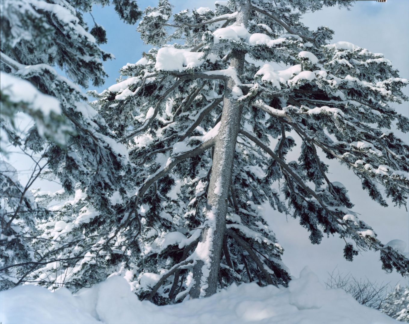 Risaku Suzuki: White 18, H-660 – Christophe Guye Galerie