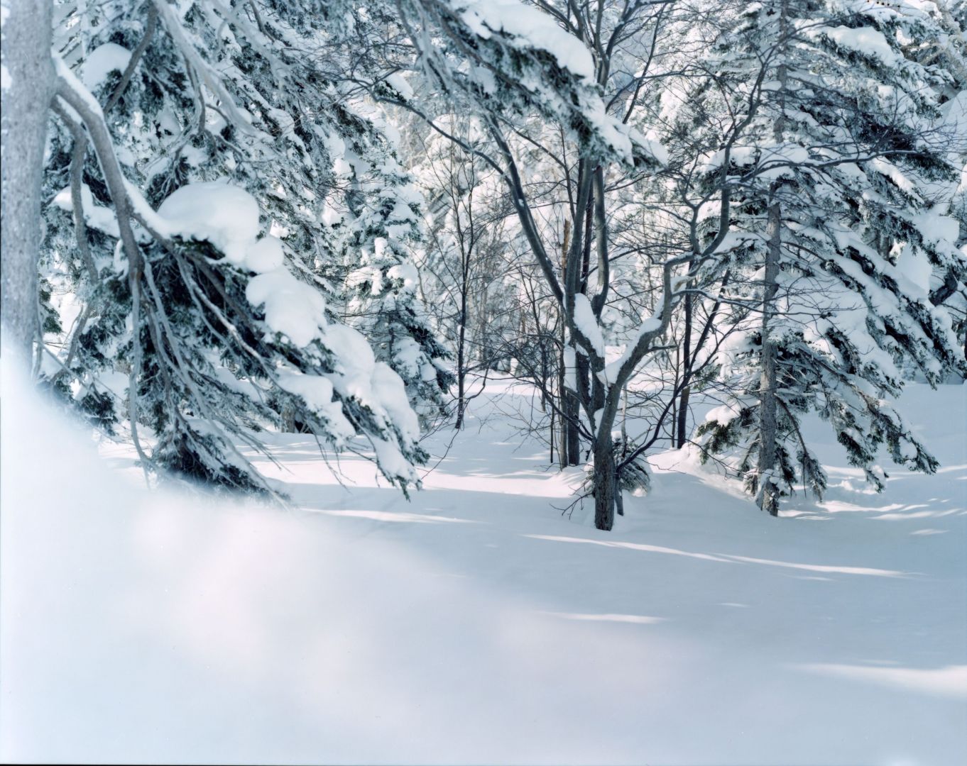 Risaku Suzuki: White 18, H-661 – Christophe Guye Galerie