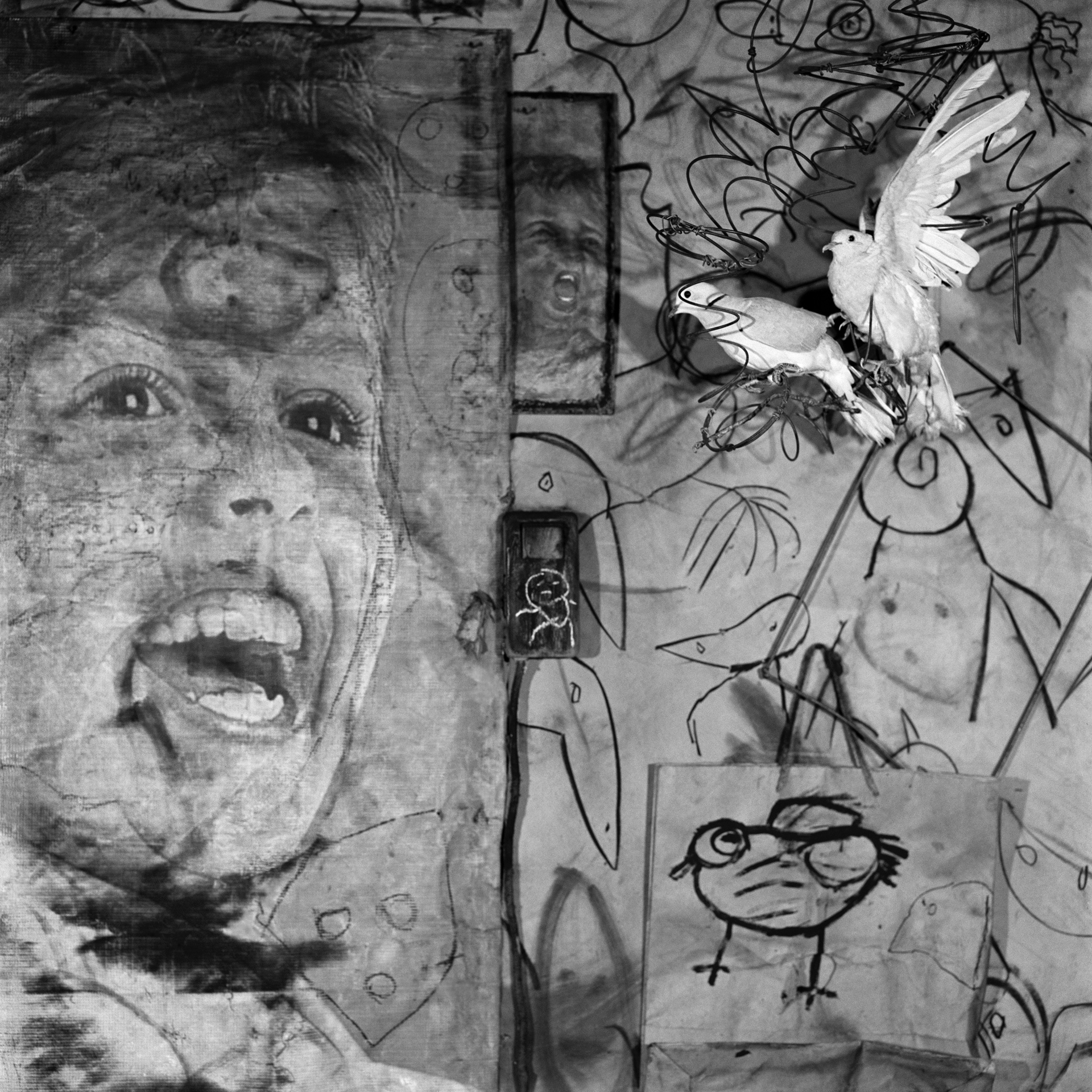 Roger Ballen - Gallery | Galerie Christophe Guye