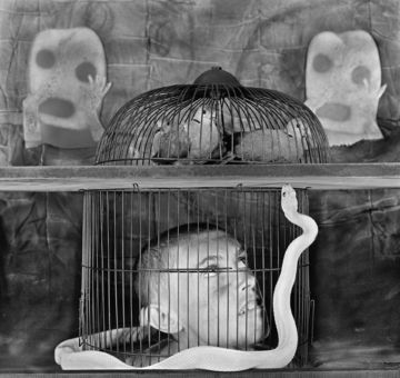 Roger BALLEN (*1950, America/South Africa): Caged – Christophe Guye Galerie