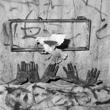 Roger BALLEN (*1950, America/South Africa): Five Hands  – Christophe Guye Galerie