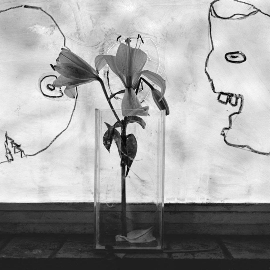 Roger BALLEN (*1950, America/South Africa): Giggles – Christophe Guye Galerie