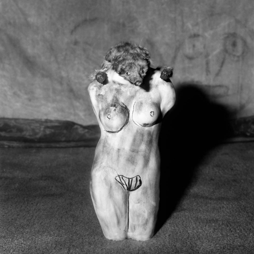 Roger BALLEN (*1950, America/South Africa): Metamorphosis – Christophe Guye Galerie