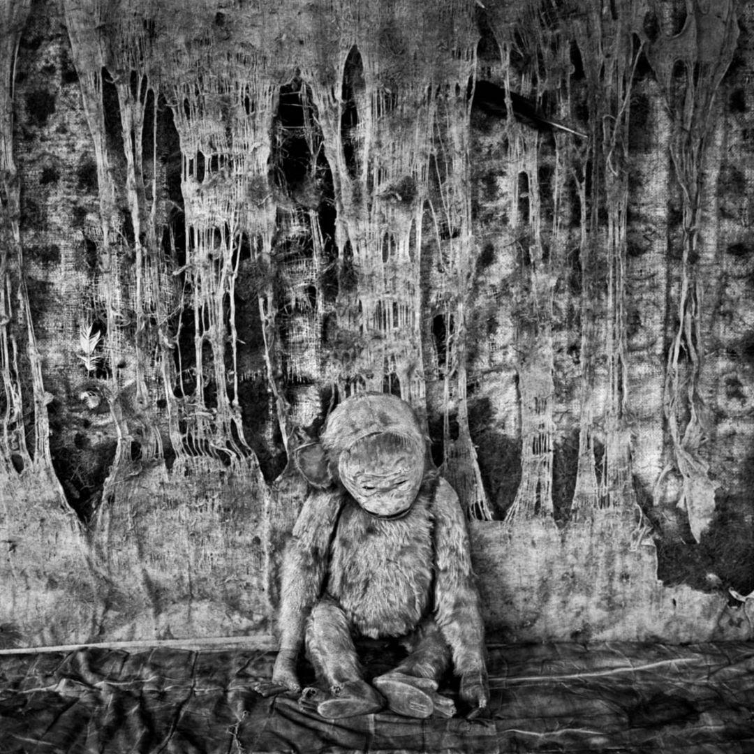Roger BALLEN (*1950, America/South Africa): Pathos – Christophe Guye Galerie
