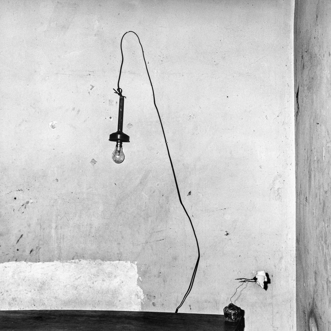 Roger BALLEN (*1950, America/South Africa): Abandoned Flower – Christophe Guye Galerie