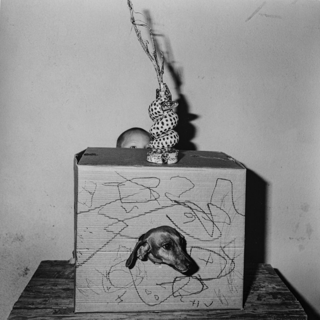Roger BALLEN (*1950, America/South Africa): Hide and Seek – Christophe Guye Galerie