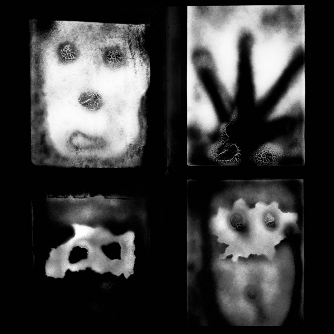 Roger BALLEN (*1950, America/South Africa): Manifestation – Christophe Guye Galerie