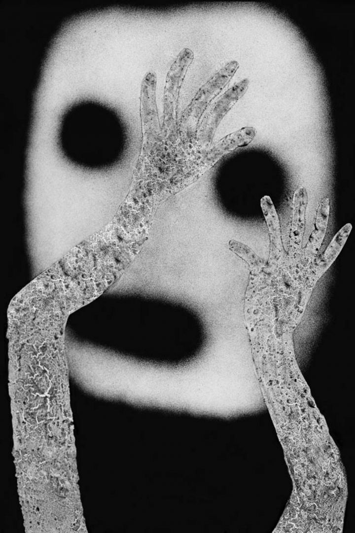 Roger BALLEN (*1950, America/South Africa): Panic – Christophe Guye Galerie