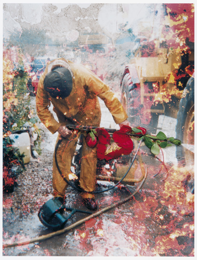 Stephen GILL (*1971, Great Britain): Untitled, from the series 'Hackney Flowers' – Christophe Guye Galerie
