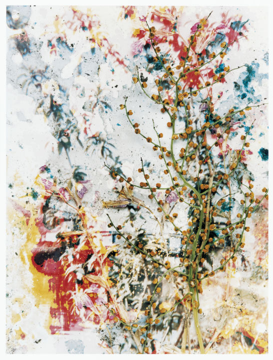 Stephen Gill - Gallery | Galerie Christophe Guye