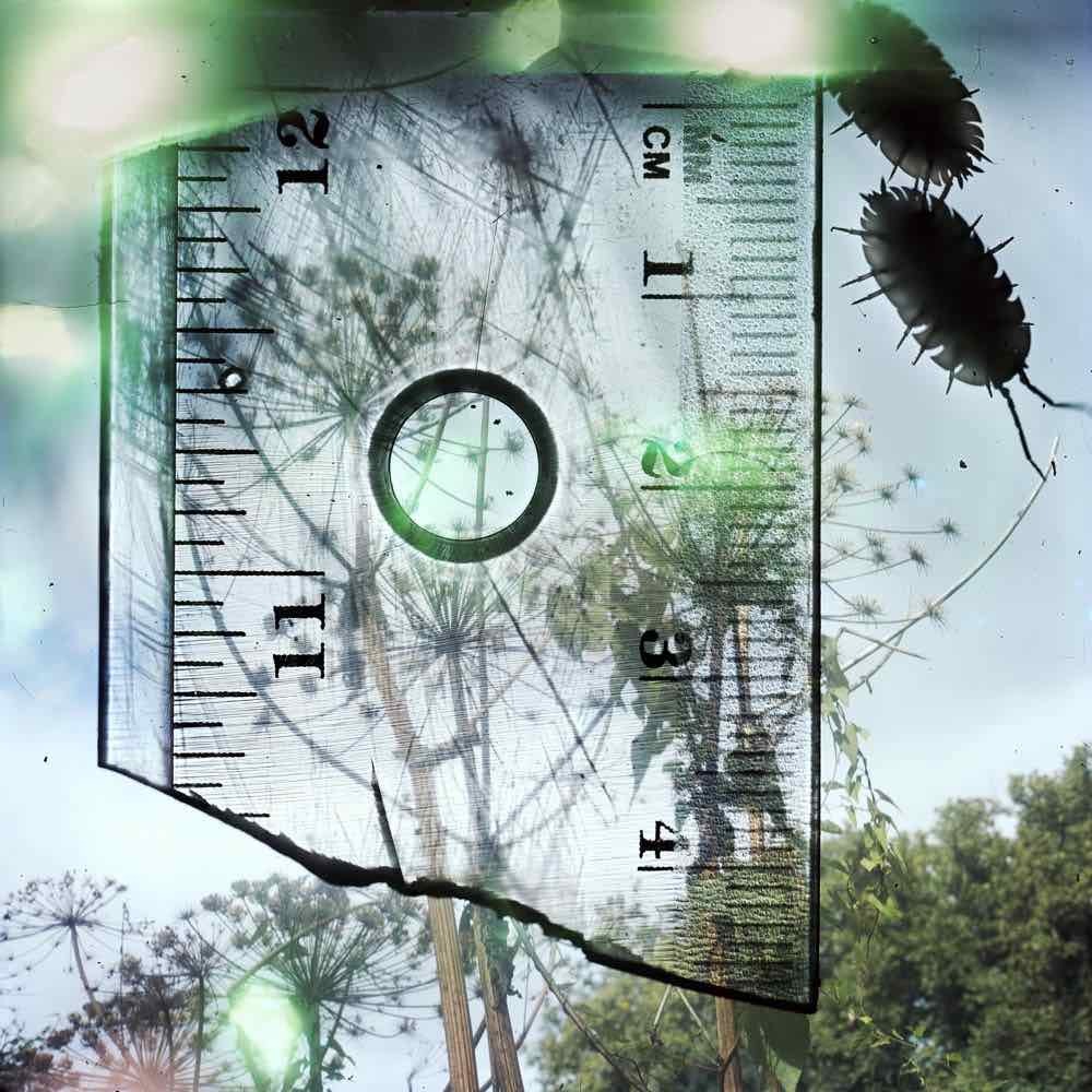 Stephen GILL (*1971, Great Britain): Untitled, from the series 'Talking to Ants' – Christophe Guye Galerie