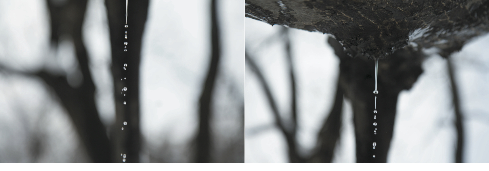 Syoin KAJII (*1976, Japan): KAWA 021-022 – Christophe Guye Galerie