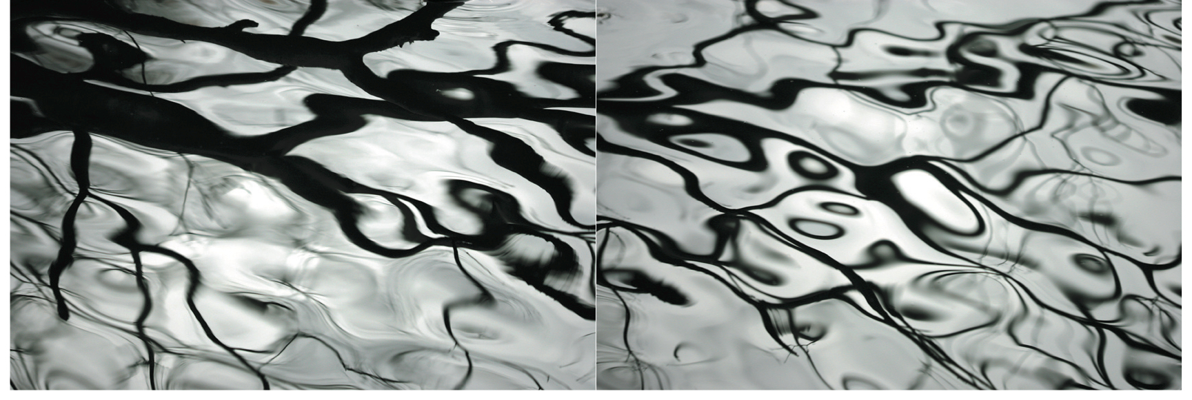 Syoin KAJII (*1976, Japan): KAWA 045-046 – Christophe Guye Galerie