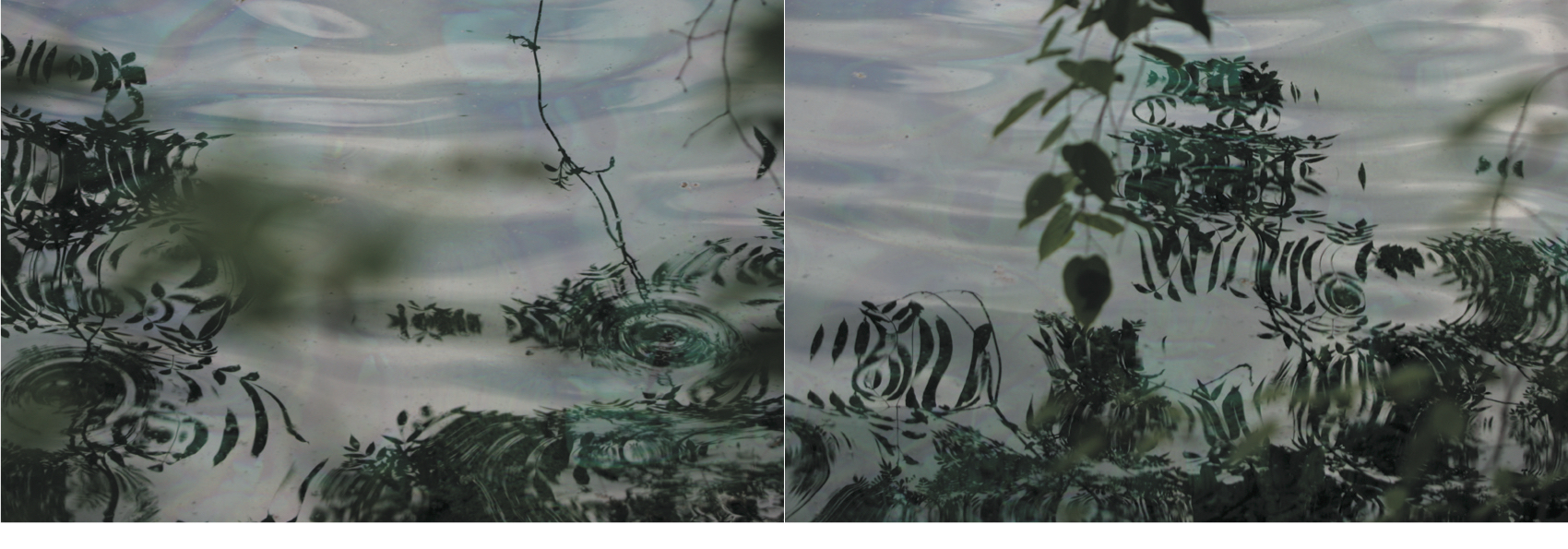 Syoin KAJII (*1976, Japan): KAWA 051-052 – Christophe Guye Galerie