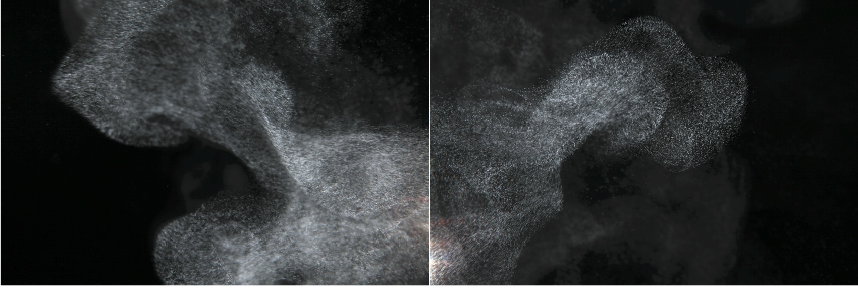 Syoin KAJII (*1976, Japan): KAWA 087-088 – Christophe Guye Galerie