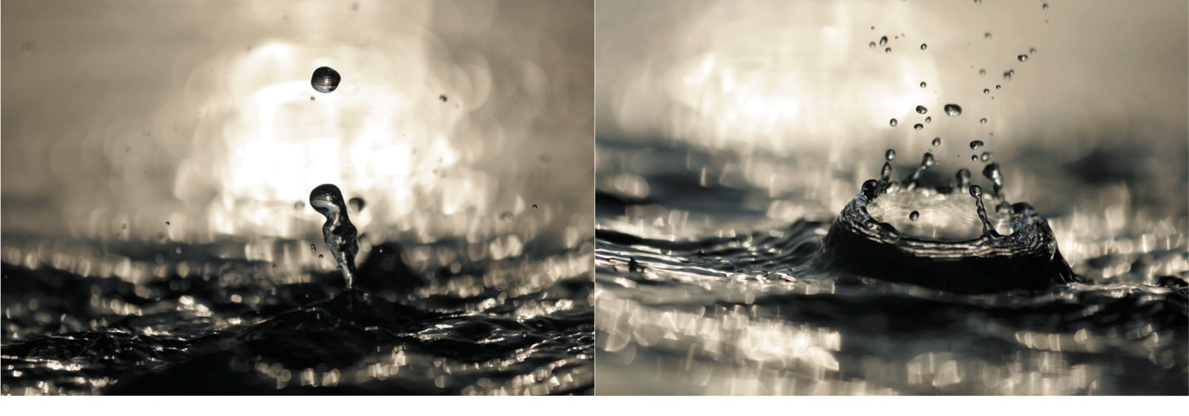 Syoin KAJII (*1976, Japan): KAWA 097-098 – Christophe Guye Galerie