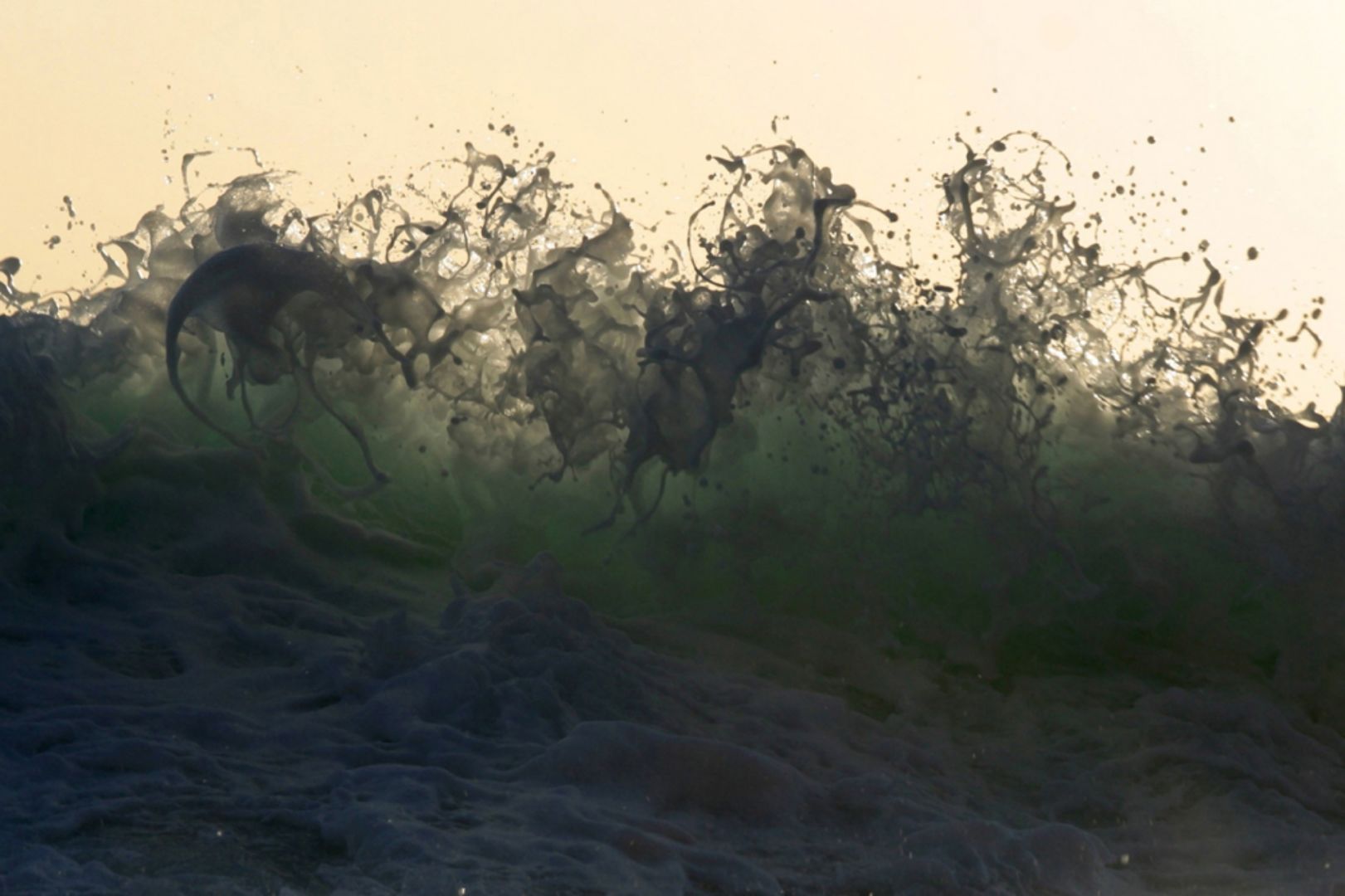 Syoin KAJII (*1976, Japan): NAMI_026 – Christophe Guye Galerie