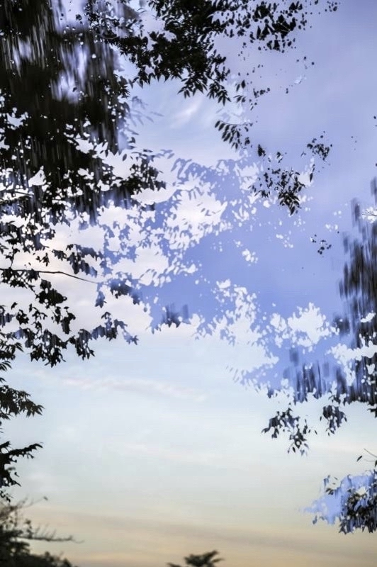 Yoshinori MIZUTANI (*1987, Japan): HDR nature 018 – Christophe Guye Galerie