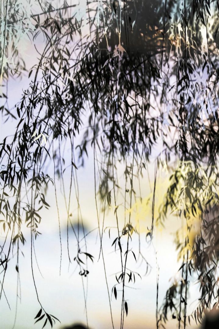 Yoshinori MIZUTANI (*1987, Japan): HDR nature 013 – Christophe Guye Galerie