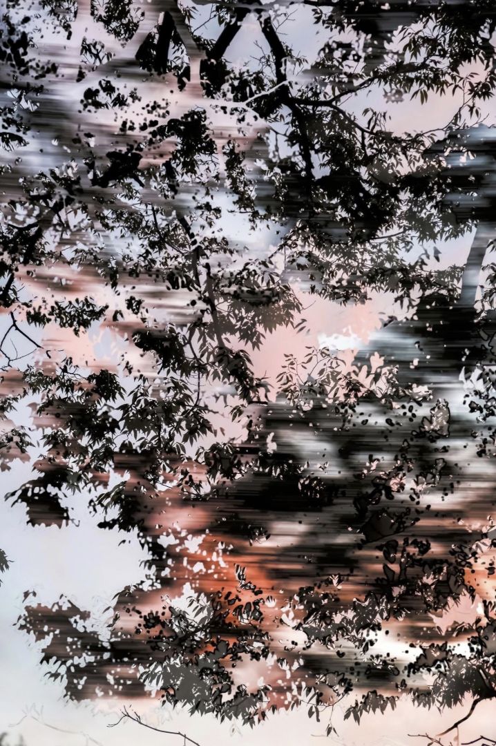 Yoshinori MIZUTANI (*1987, Japan): HDR_nature 005 – Christophe Guye Galerie