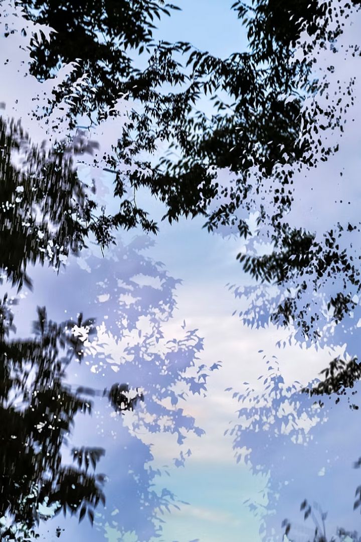 Yoshinori MIZUTANI (*1987, Japan): HDR nature 017 – Christophe Guye Galerie