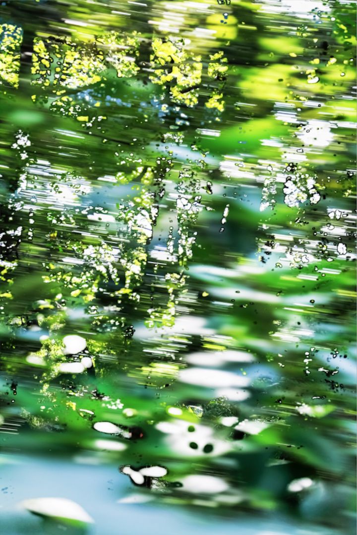 Yoshinori MIZUTANI (*1987, Japan): HDR_nature 024 – Christophe Guye Galerie