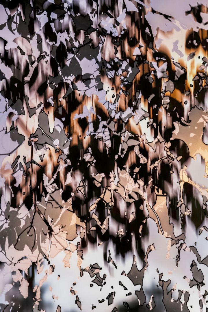 Yoshinori MIZUTANI (*1987, Japan): HDR nature 004 – Christophe Guye Galerie