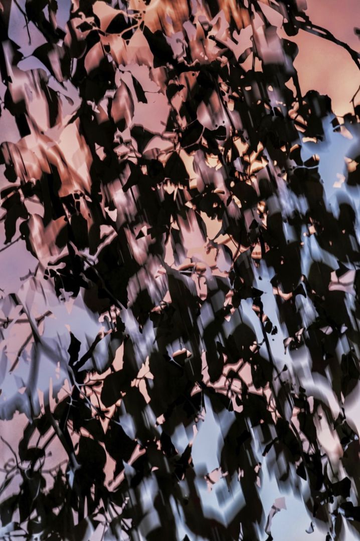 Yoshinori MIZUTANI (*1987, Japan): HDR nature 014 – Christophe Guye Galerie