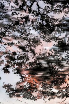 Yoshinori MIZUTANI (*1987, Japan): HDR_nature 005 – Christophe Guye Galerie