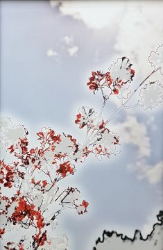 Yoshinori MIZUTANI (*1987, Japan): HDR nature 023 – Christophe Guye Galerie