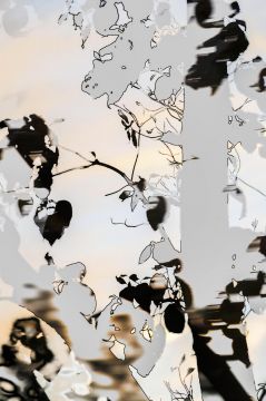 Yoshinori MIZUTANI (*1987, Japan): HDR nature 003 – Christophe Guye Galerie