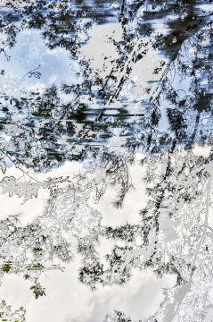 Yoshinori MIZUTANI (*1987, Japan): HDR nature 006 – Christophe Guye Galerie