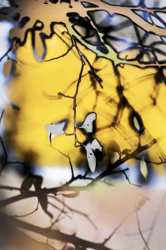 Yoshinori MIZUTANI (*1987, Japan): HDR nature 010 – Christophe Guye Galerie