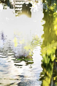 Yoshinori MIZUTANI (*1987, Japan): HDR nature 019 – Christophe Guye Galerie