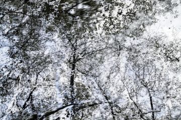 Yoshinori MIZUTANI (*1987, Japan): HDR nature 021 – Christophe Guye Galerie