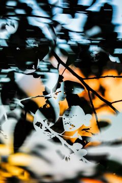 Yoshinori MIZUTANI (*1987, Japan): HDR nature 000 – Christophe Guye Galerie