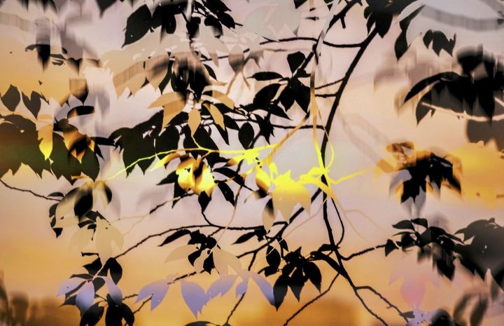 Christophe Guye Galerie Yoshinori Mizutani HDR Nature 008