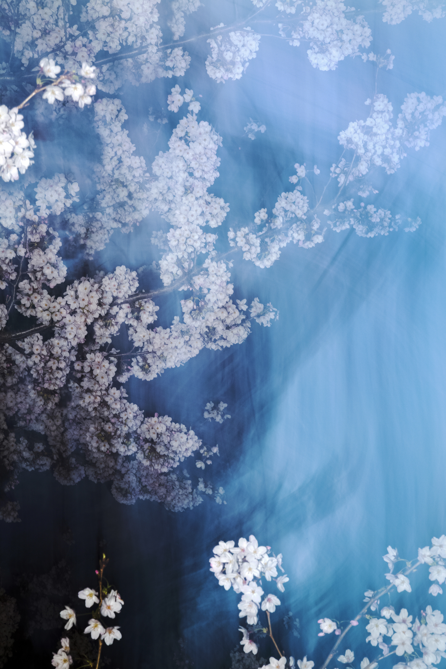 Yoshinori Mizutani – Tokyo Whispers - Gallery | Galerie Christophe