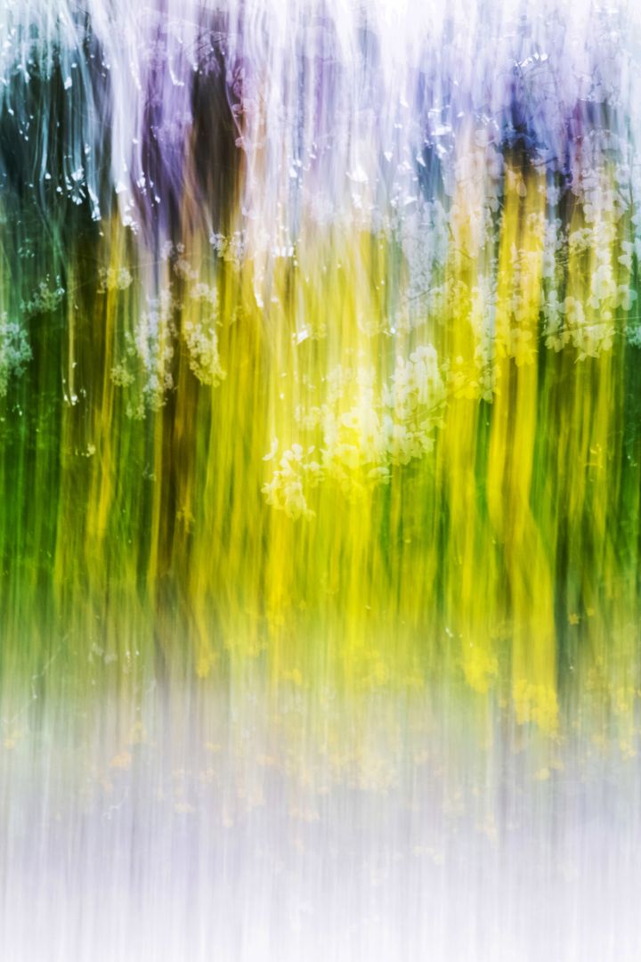  Yoshinori MIZUTANI (*1987, Japan): sakura 018 – Christophe Guye Galerie