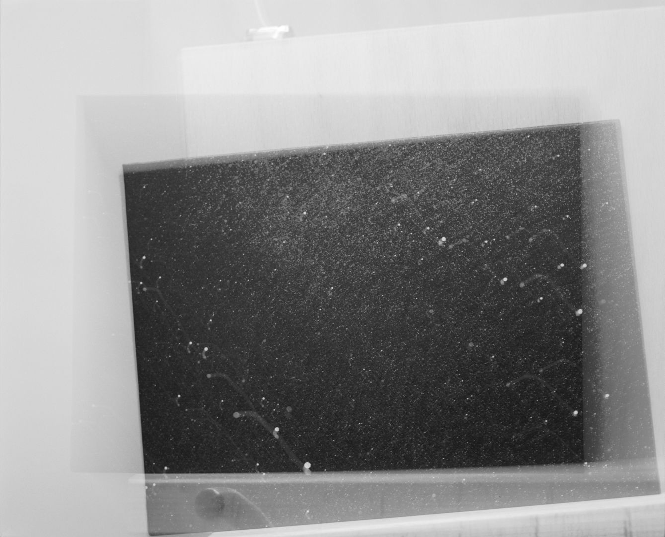 Kazuna TAGUCHI (*1979, Japan): falling – Christophe Guye Galerie