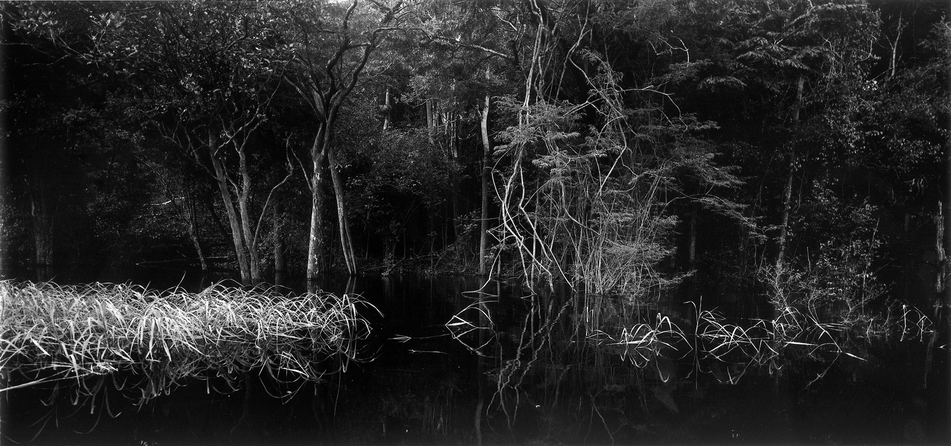 Balthasar BURKHARD (1944–2010, Switzerland): Rio Negro 02 – Christophe Guye Galerie