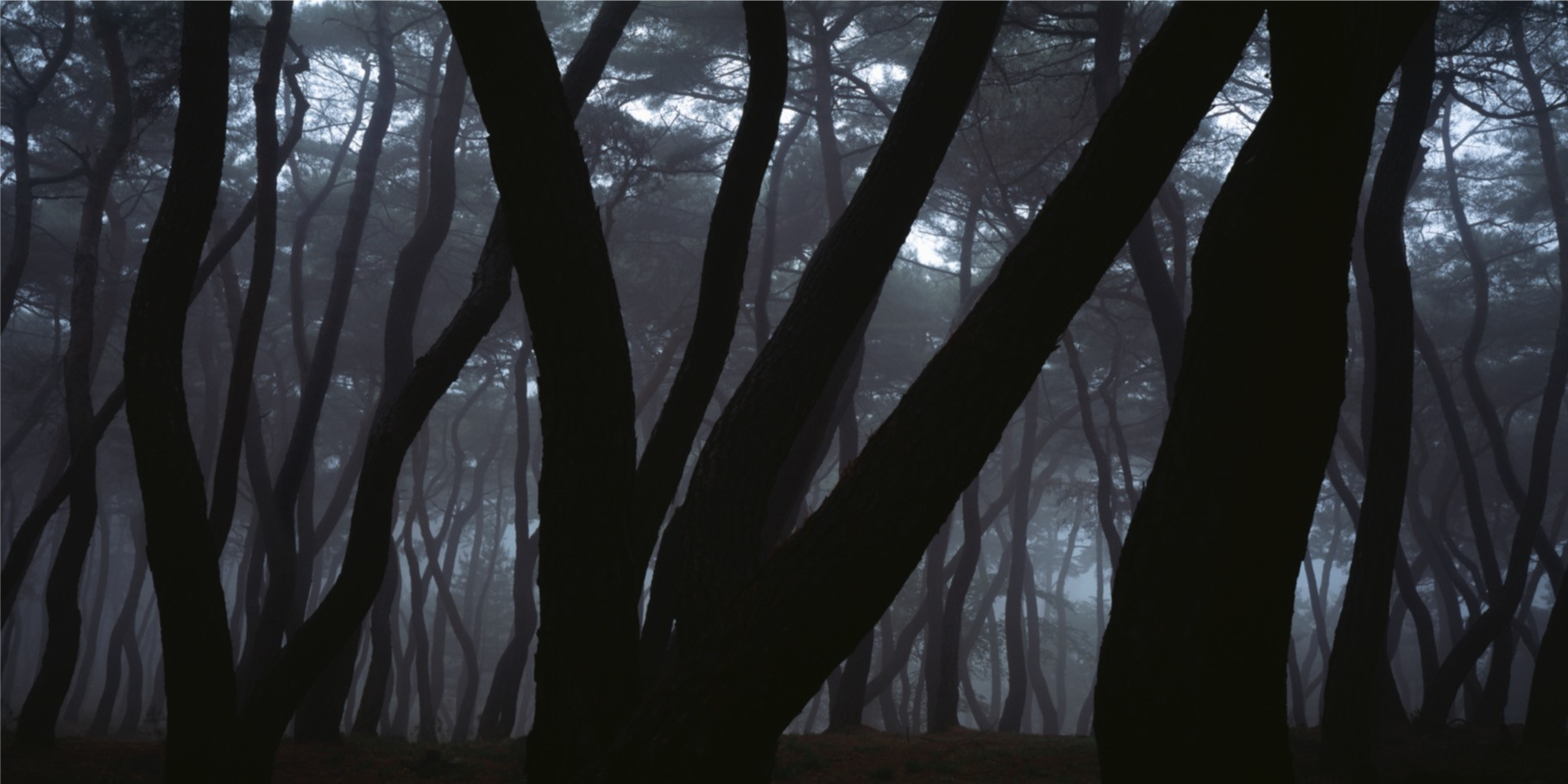Bae Bien-U: SNM1A-200HC – Christophe Guye Galerie