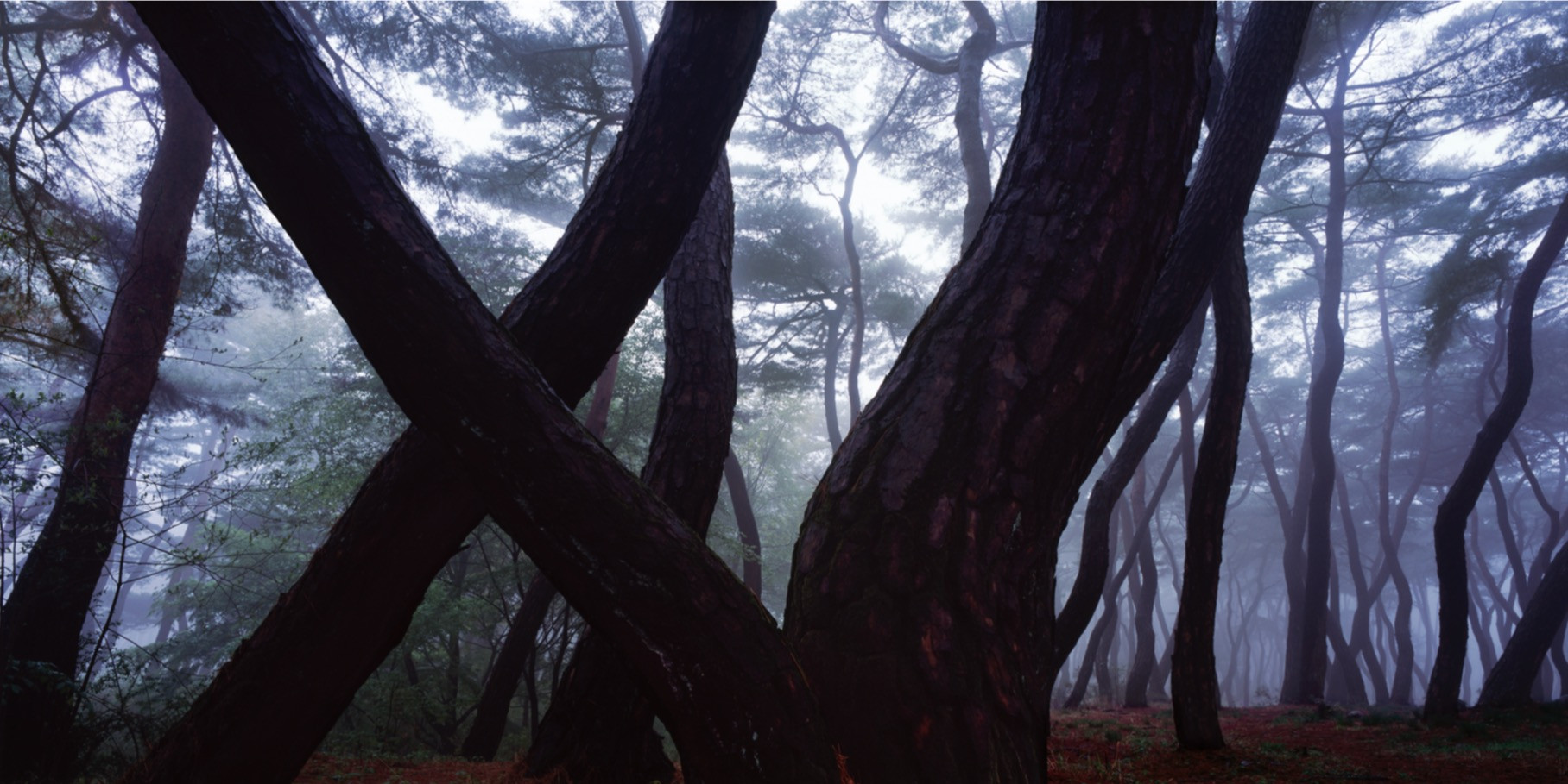 Bae Bien-U: SNM1A-208HC – Christophe Guye Galerie