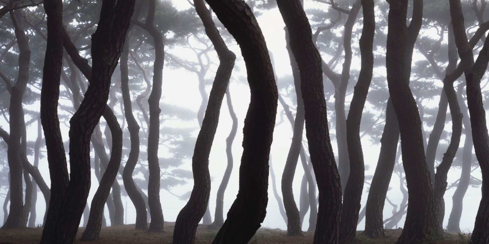 BAE Bien-U (*1950, Korea): TBD-C3 – Christophe Guye Galerie