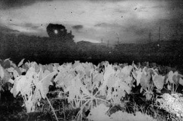 Daisuke YOKOTA (*1983, Japan): Not titled yet – Christophe Guye Galerie