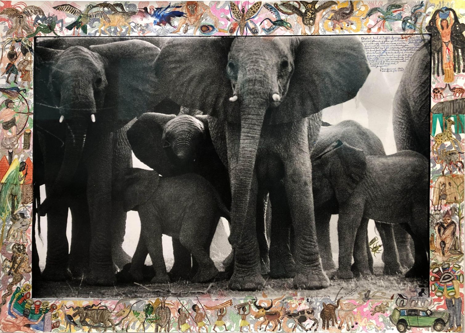 Peter BEARD (1938-2020, USA): Eles at Buffalo Springs – Christophe Guye Galerie