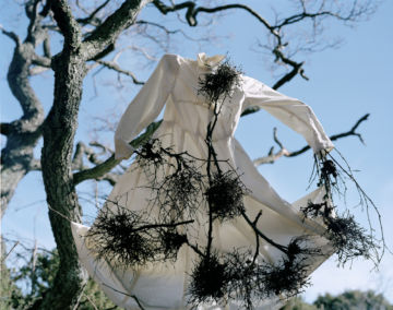 Riitta PÄIVÄLÄINEN (*1969, Finnland): White Dress – Christophe Guye Galerie