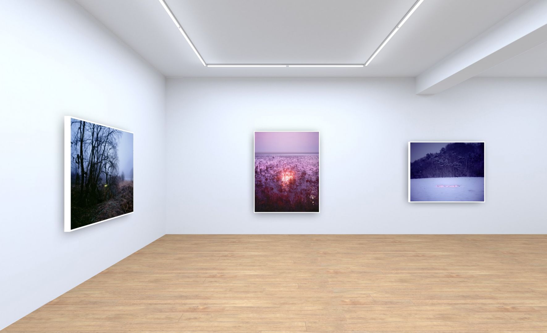 Christophe Guye Galerie Jung Lee Online Exhibition Exhibition View 7