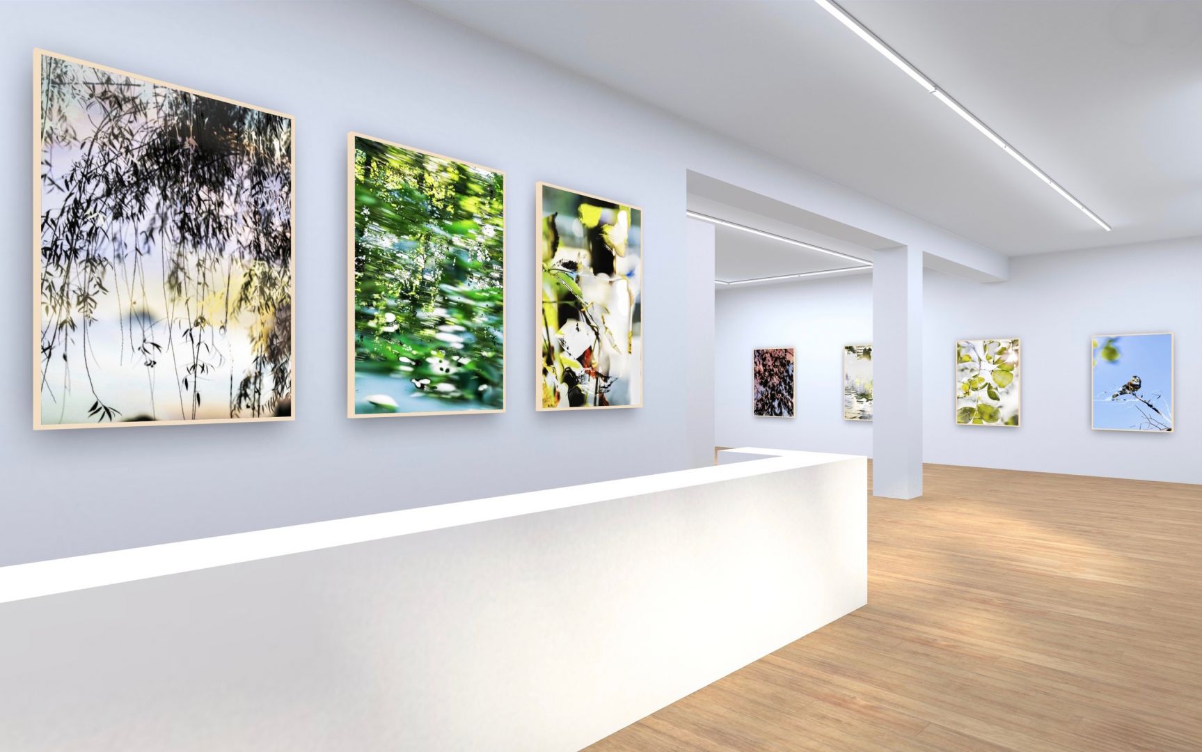 Christophe Guye Galerie Yoshinori Mizutani Hdr Nature Ausstellungsansichten 16