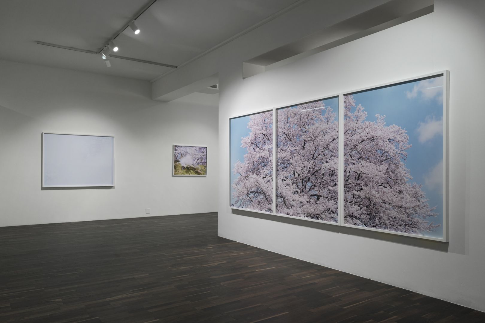 Christophe Guye Galerie Risaku Suzuki Light Of Spring Ansicht 3
